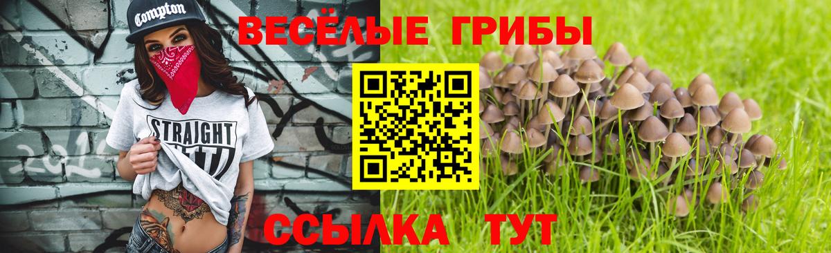 Псилоцибиновые грибы Psilocybe Воткинск